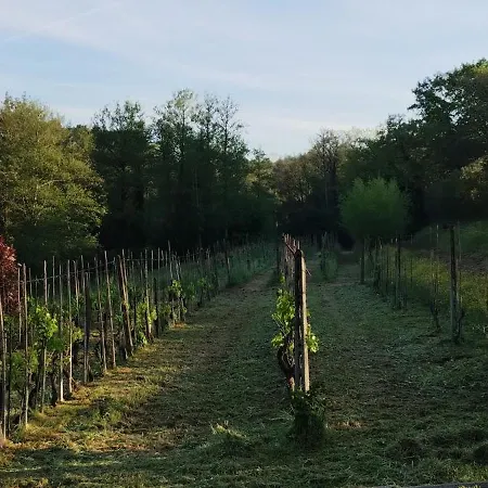 Gospodarstwo agroturystyczne Al Sangallo